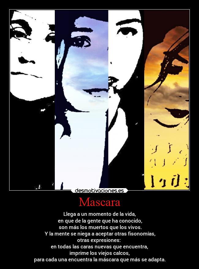 carteles alma clan catkillers maru desmotivaciones