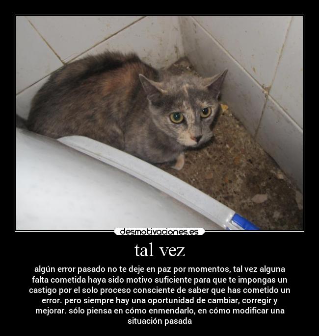 carteles alma desmotivaciones