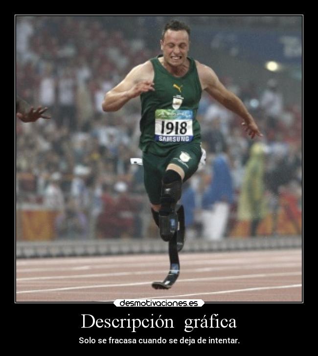 Descripción  gráfica - 