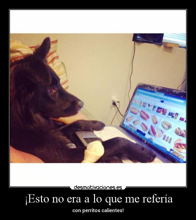 ¡Esto no era a lo que me refería -