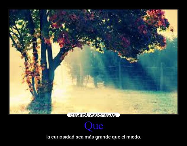 Que - la curiosidad sea más grande que el miedo.