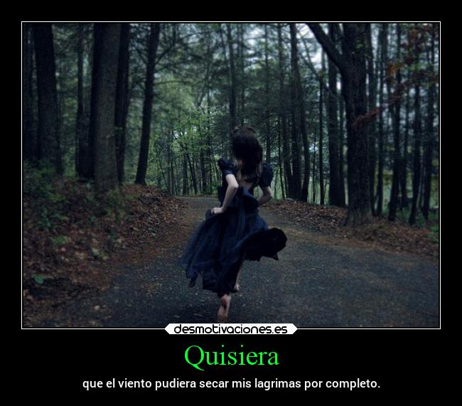 Quisiera - que el viento pudiera secar mis lagrimas por completo.