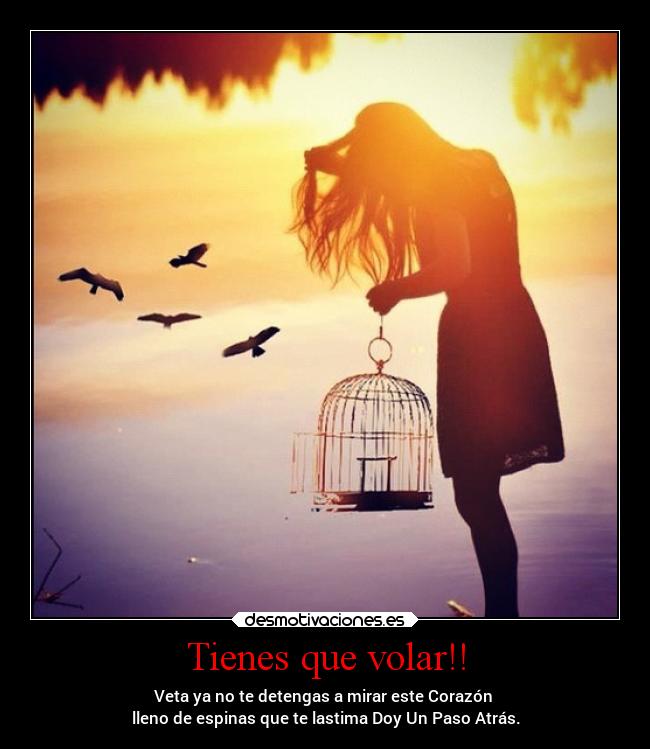 Tienes que volar!! - 