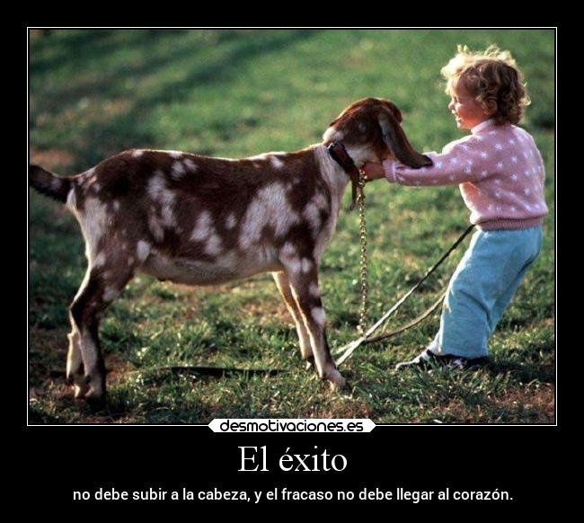 El éxito - no debe subir a la cabeza, y el fracaso no debe llegar al corazón.
