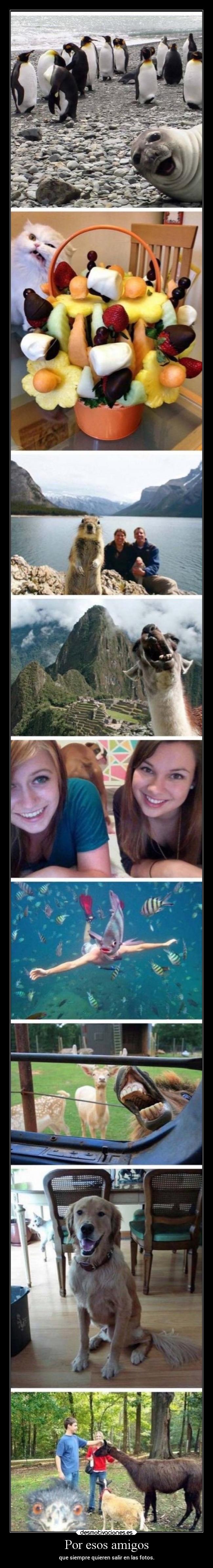 Por esos amigos - que siempre quieren salir en las fotos.