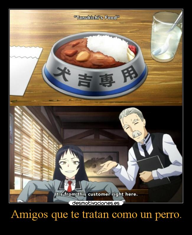 Amigos que te tratan como un perro. -