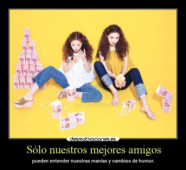 Sólo nuestros mejores amigos - pueden entender nuestras manías y cambios de humor.
