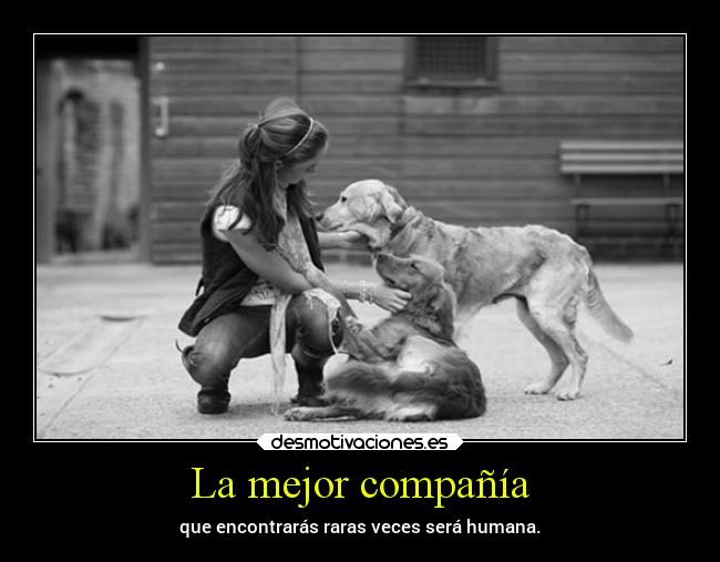 La mejor compañía -