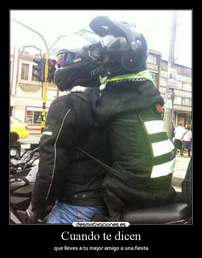 carteles amistad desmotivaciones