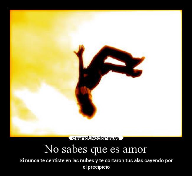 No sabes que es amor - 