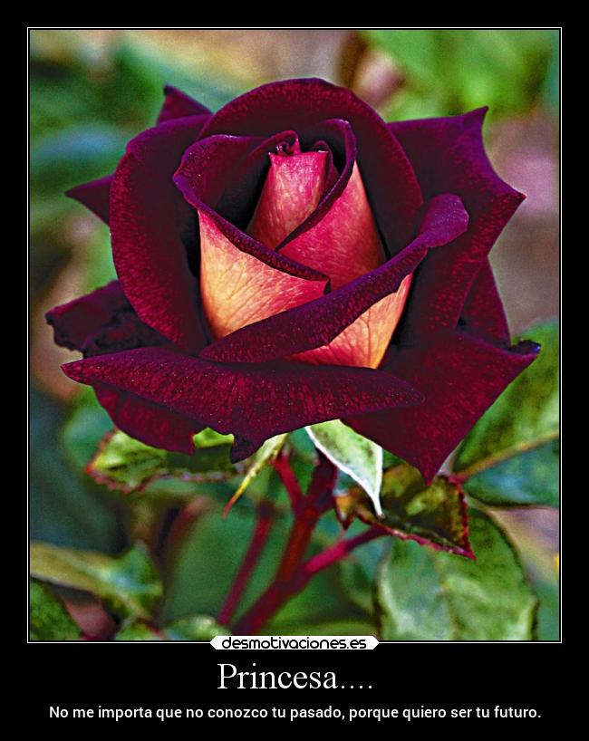 carteles amor desmotivaciones