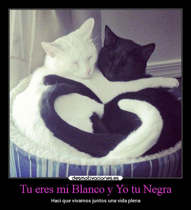 carteles amor desmotivaciones