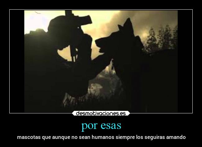 por esas - mascotas que aunque no sean humanos siempre los seguiras amando