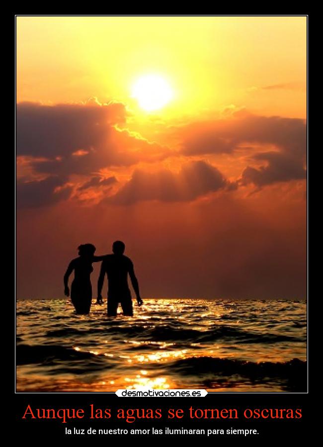 carteles amor maxwell desmotivaciones