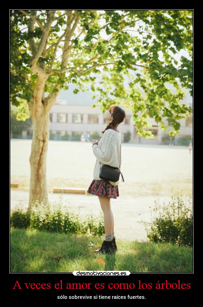 A veces el amor es como los árboles - 