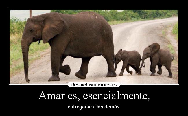 Amar es, esencialmente, - 