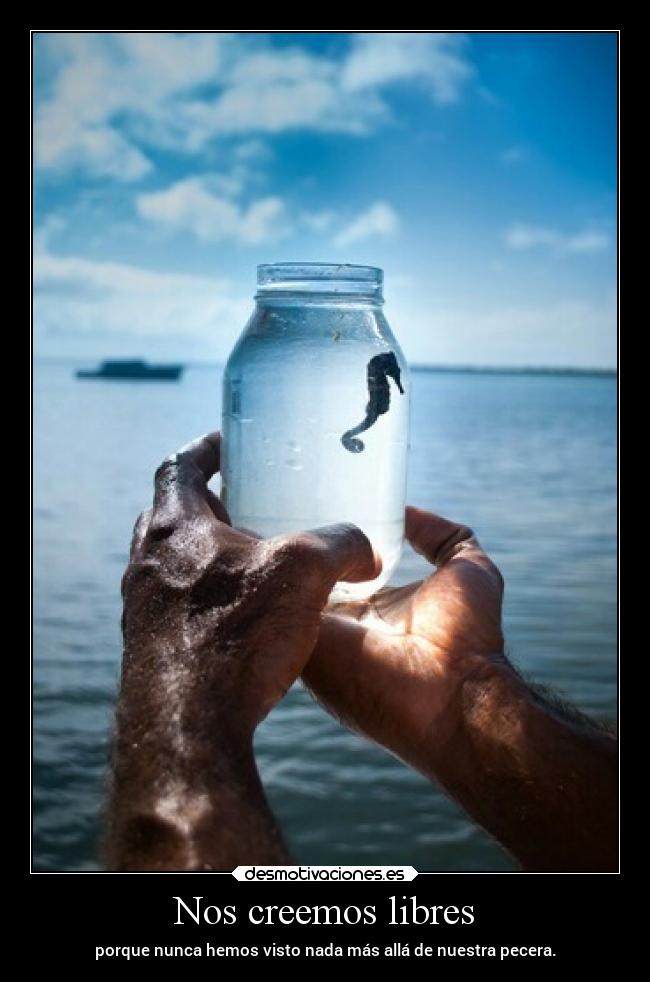 Nos creemos libres -