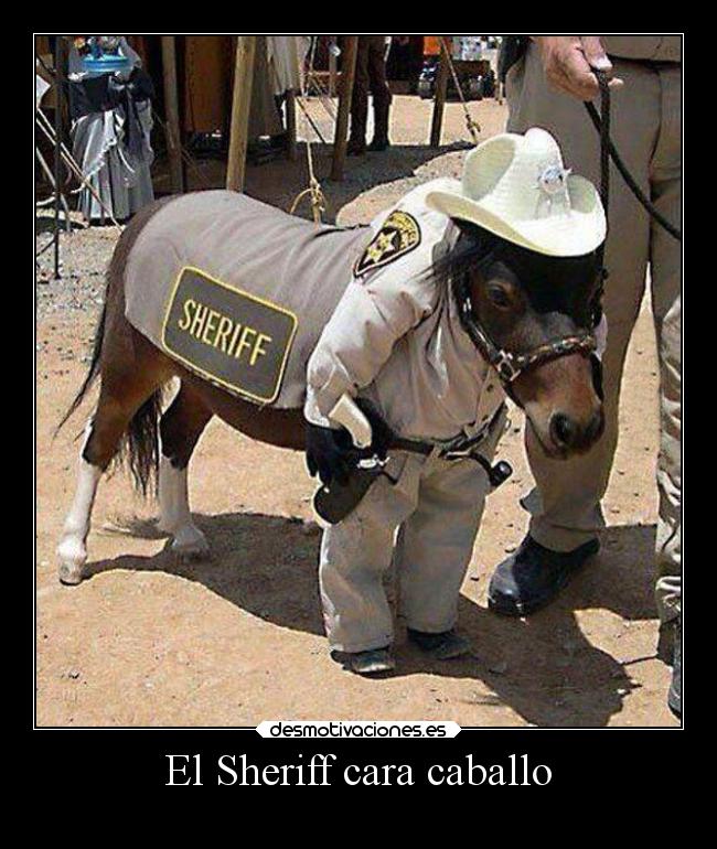 carteles animales desmotivaciones