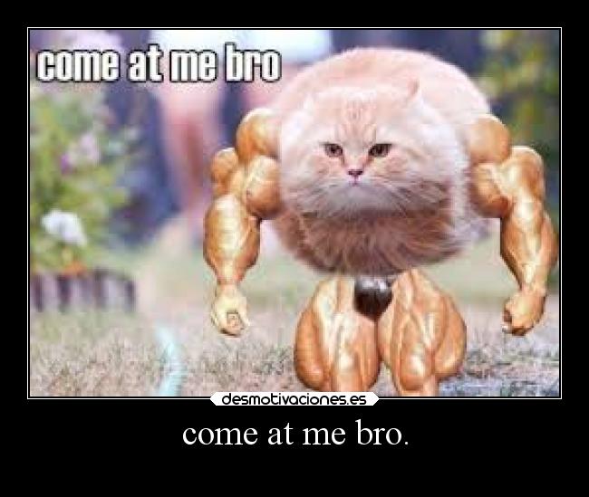 come at me bro. -