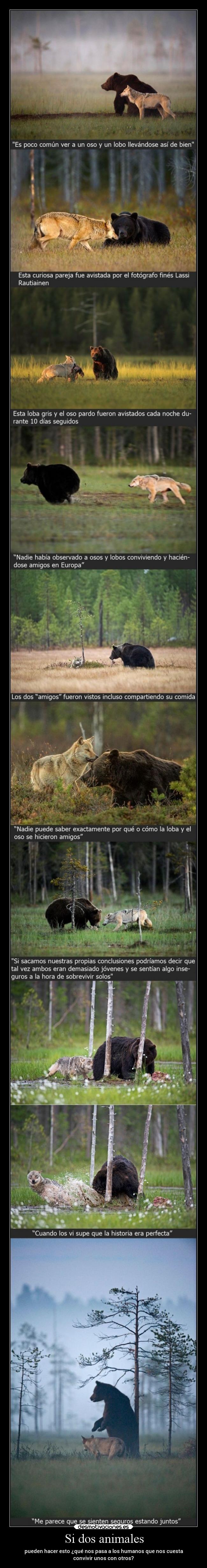 Si dos animales - pueden hacer esto ¿qué nos pasa a los humanos que nos cuesta
convivir unos con otros?