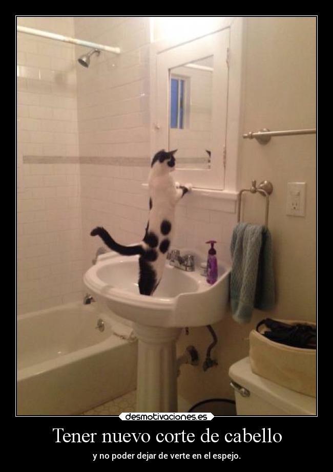 Tener nuevo corte de cabello -