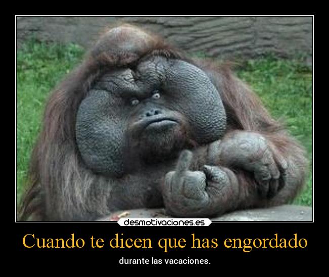 Cuando te dicen que has engordado -