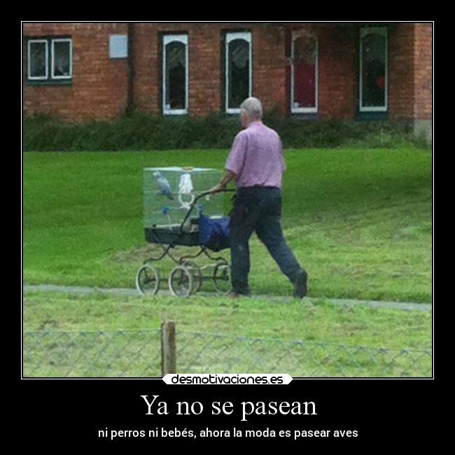 Ya no se pasean -