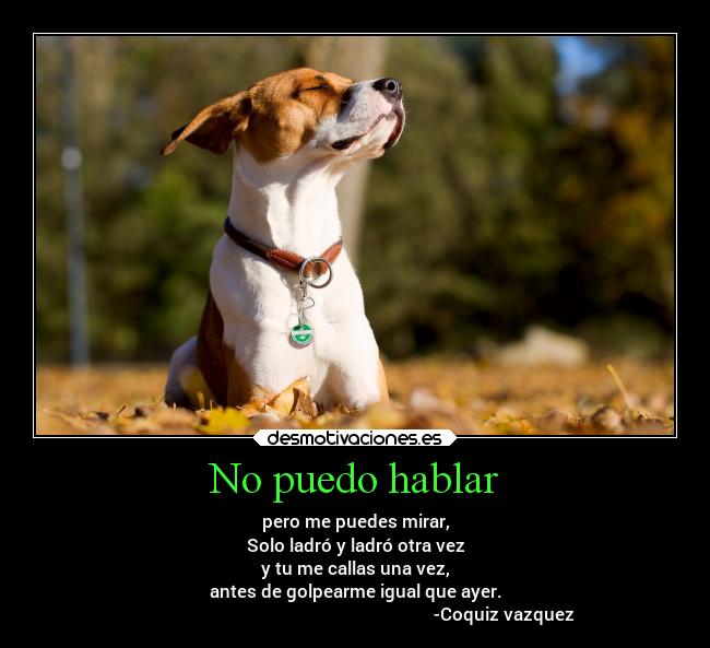 carteles animales rima coquiz desmotivaciones