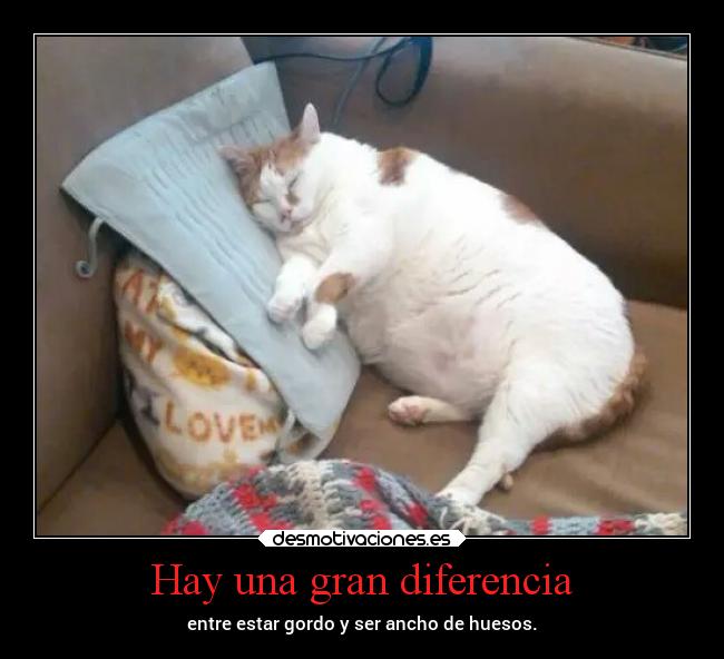 Hay una gran diferencia - 