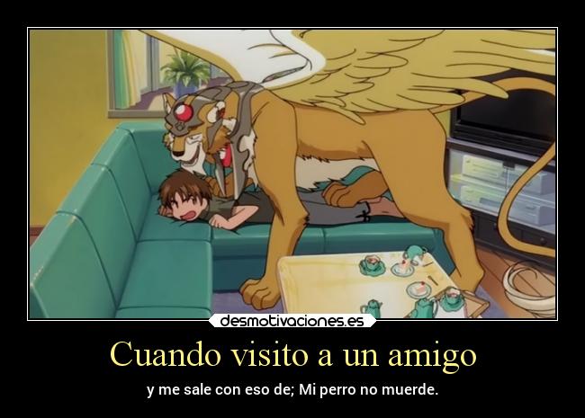 carteles anime amigo perro visitar morder salir sakura card captor kero doblaje espanol latino crackeado mega desmotivaciones