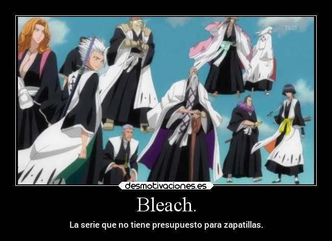 carteles anime humor slipkdemon clandesplazado harukaze bleach calzados capitanes desmotivaciones