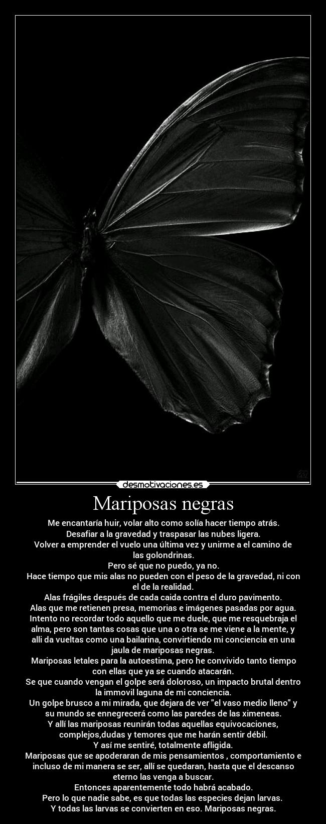 Mariposas negras - Me encantaría huir, volar alto como solía hacer tiempo atrás.
Desafiar a la gravedad y traspasar las nubes ligera.
Volver a emprender el vuelo una última vez y unirme a el camino de
las golondrinas.
Pero sé que no puedo, ya no.
Hace tiempo que mis alas no pueden con el peso de la gravedad, ni con
el de la realidad.
Alas frágiles después de cada caida contra el duro pavimento.
Alas que me retienen presa, memorias e imágenes pasadas por agua.
Intento no recordar todo aquello que me duele, que me resquebraja el
alma, pero son tantas cosas que una o otra se me viene a la mente, y
alli da vueltas como una bailarina, convirtiendo mi conciencia en una
jaula de mariposas negras.
Mariposas letales para la autoestima, pero he convivido tanto tiempo
con ellas que ya se cuando atacarán.
Se que cuando vengan el golpe será doloroso, un impacto brutal dentro
la immovil laguna de mi conciencia.
Un golpe brusco a mi mirada, que dejara de ver el vaso medio lleno y
su mundo se ennegrecerá como las paredes de las ximeneas.
Y allí las mariposas reunirán todas aquellas equivocaciones,
complejos,dudas y temores que me harán sentir débil.
Y así me sentiré, totalmente afligida.
Mariposas que se apoderaran de mis pensamientos , comportamiento e
incluso de mi manera se ser, allí se quedaran, hasta que el descanso
eterno las venga a buscar.
Entonces aparentemente todo habrá acabado.
Pero lo que nadie sabe, es que todas las especies dejan larvas. 
Y todas las larvas se convierten en eso. Mariposas negras.