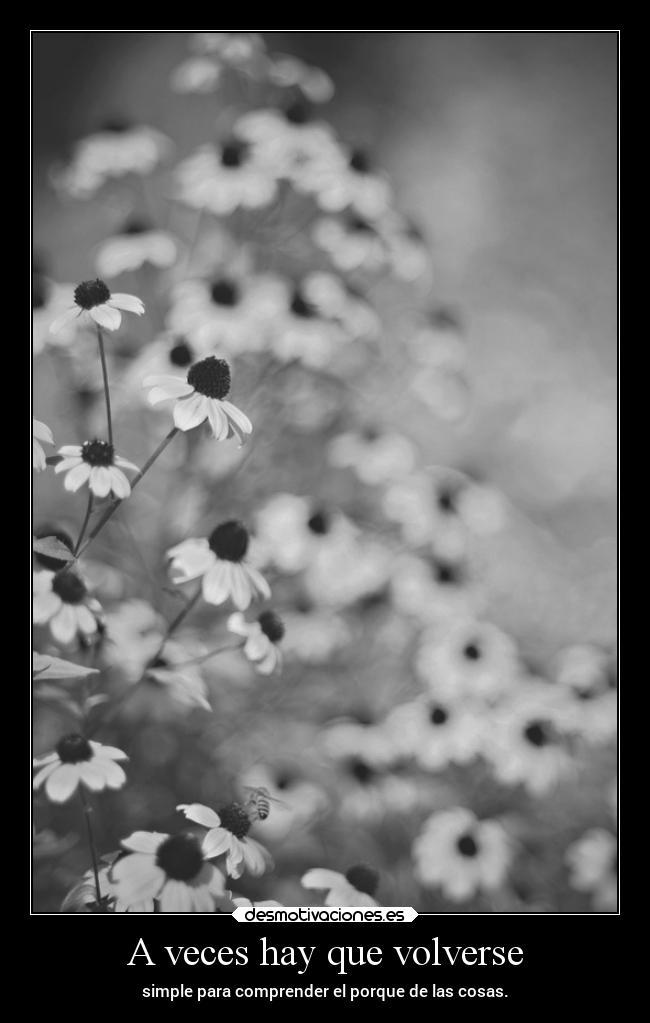 A veces hay que volverse -