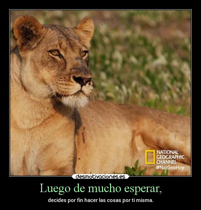 Luego de mucho esperar, -