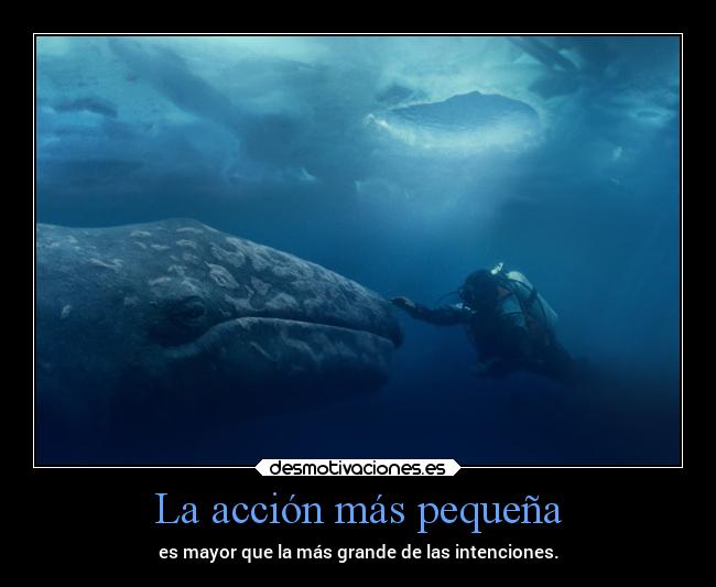 carteles cine amor animales big miracle bigmiracle drewbarrymore greenpeace mar unaaventuraextraordinaria desmotivaciones