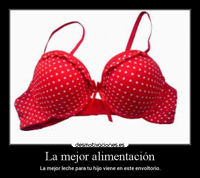 La mejor alimentación - 