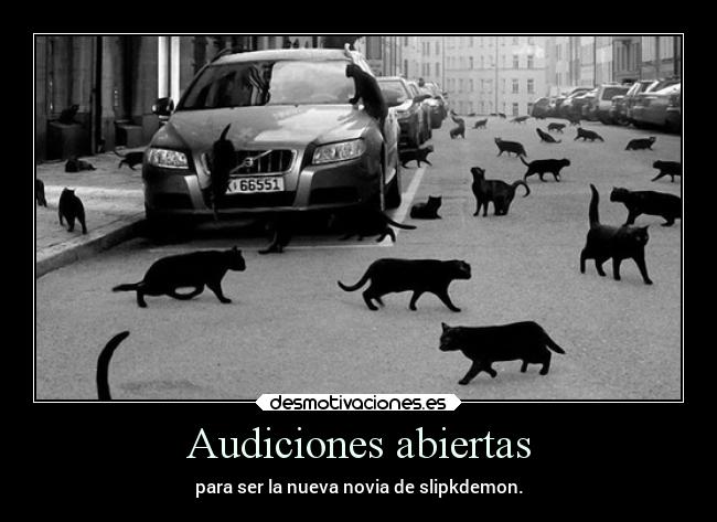Audiciones abiertas - 