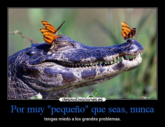 Por muy pequeño que seas, nunca - 