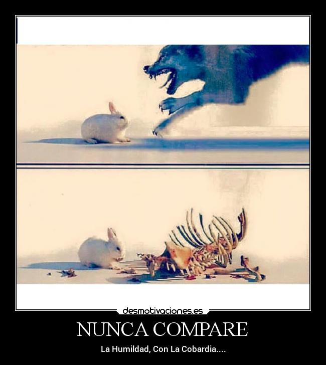 NUNCA COMPARE -