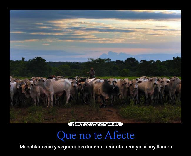 Que no te Afecte -