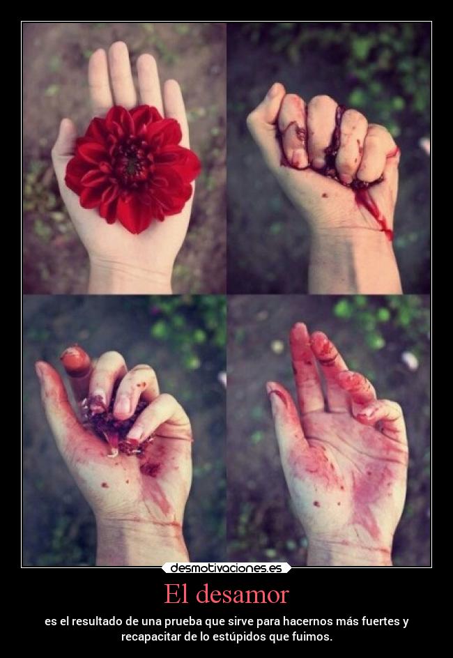 El desamor - es el resultado de una prueba que sirve para hacernos más fuertes y
recapacitar de lo estúpidos que fuimos.