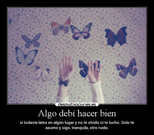 Algo debí hacer bien - si todavía lates en algún lugar y no te olvido ni te lucho. Solo te
asumo y sigo, tranquila, otro ruido.