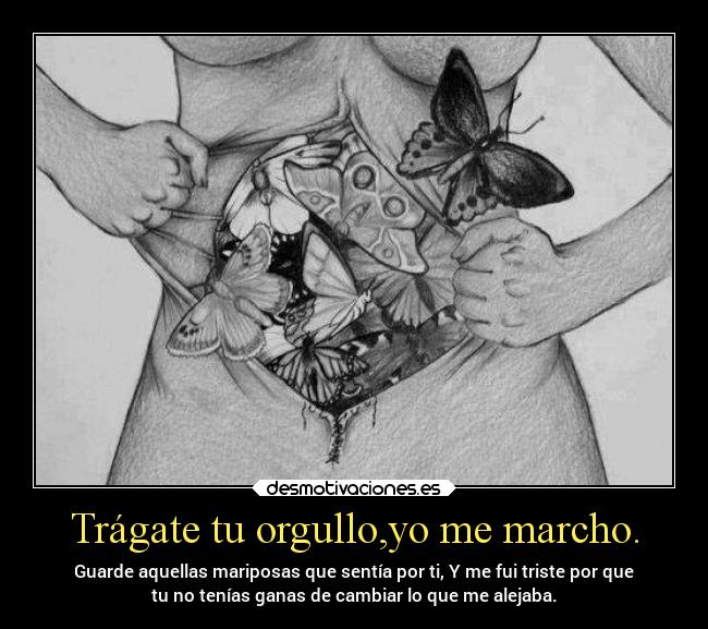 carteles desamor desmotivaciones