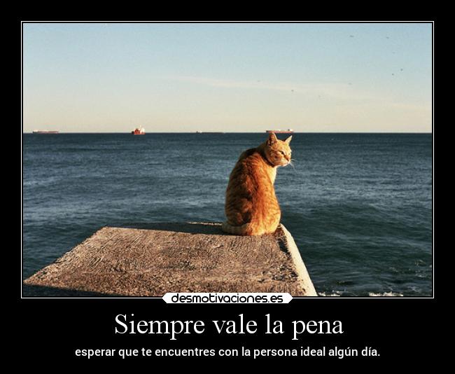 Siempre vale la pena -