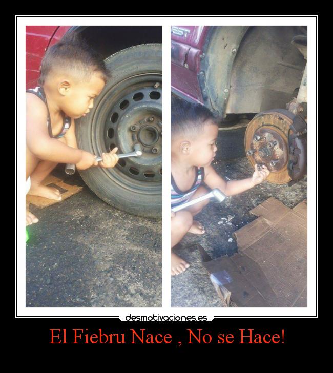 El Fiebru Nace , No se Hace! - 