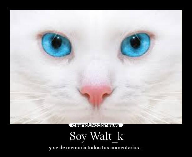 Soy Walt_k - 