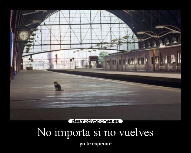 No importa si no vuelves - yo te esperaré