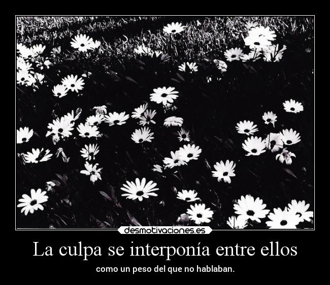 La culpa se interponía entre ellos - como un peso del que no hablaban.