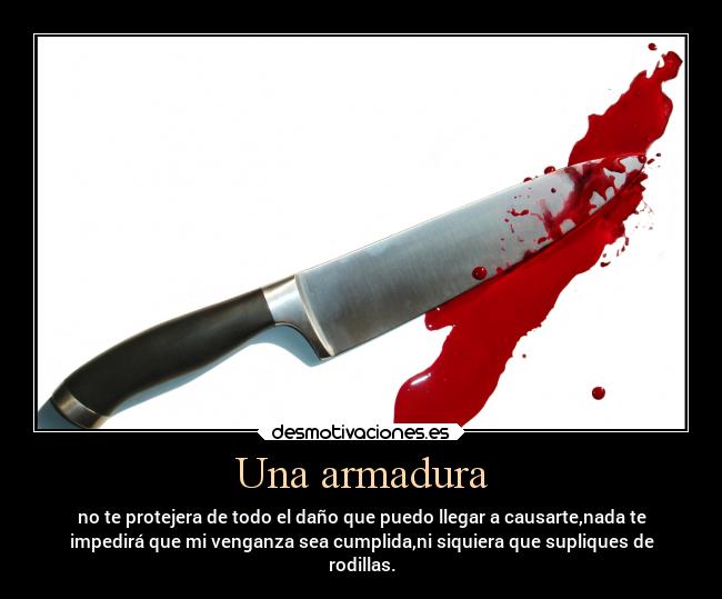 carteles dolor armadura ainasadica venganza mesorprenderasinohaynegativos desmotivaciones