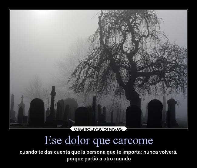 carteles dolor muerte mundo soledad dolor lagrimas desmotivaciones